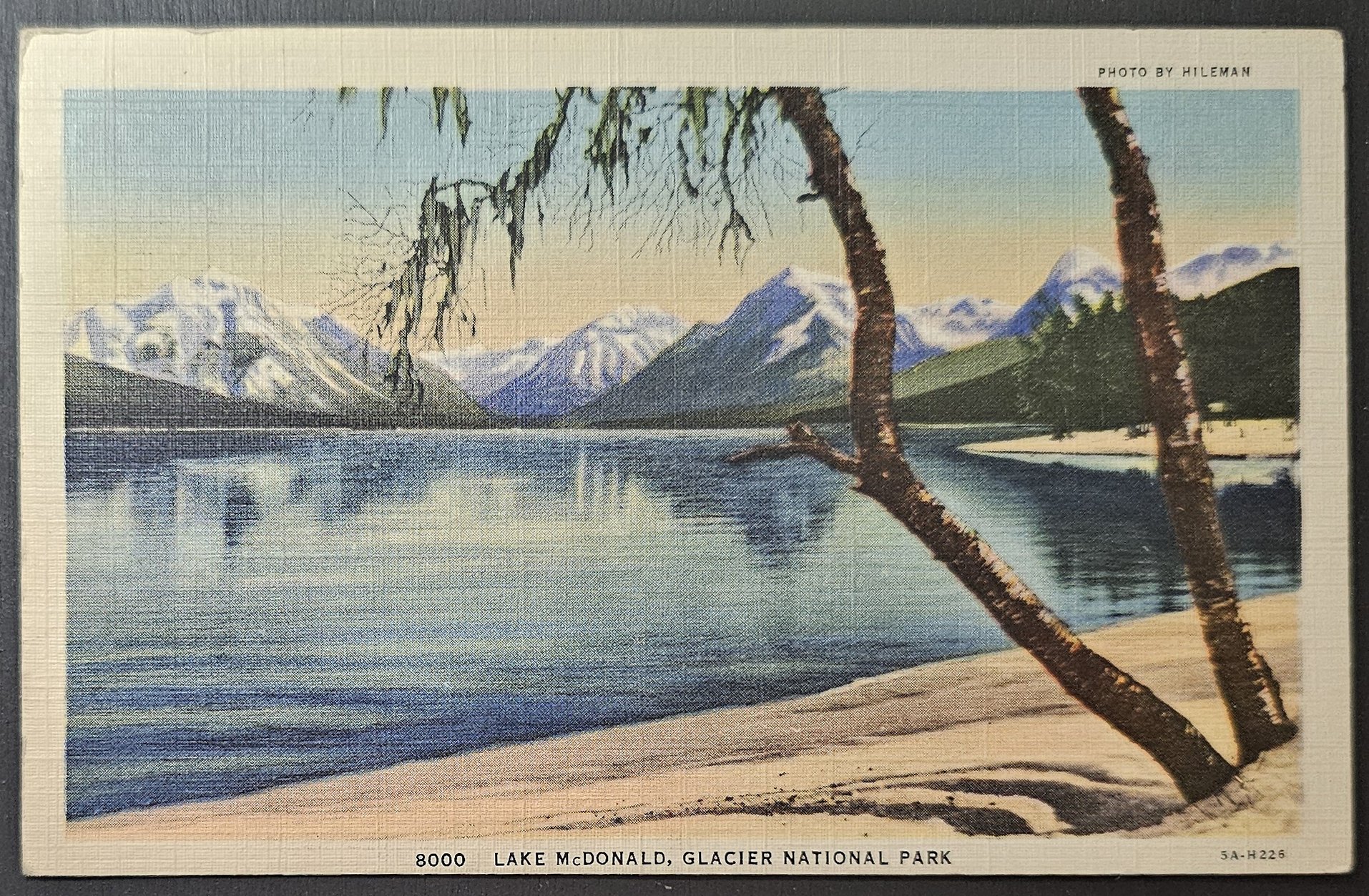 (image for) postcard USA - MT - Montana #0015